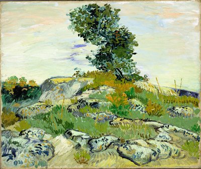 Skály od Vincent van Gogh