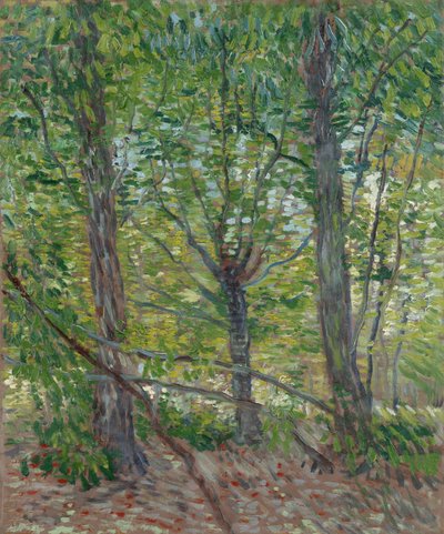  od Vincent van Gogh
