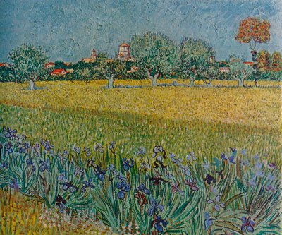 Pohled na Aleše s kosatci v květu, 1888 od Vincent van Gogh