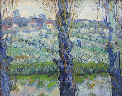 Pohled na Arles, kvetoucí sady od Vincent van Gogh