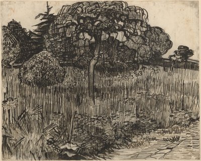 Plačící strom od Vincent van Gogh