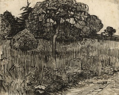 Plačící strom, 1889 od Vincent van Gogh