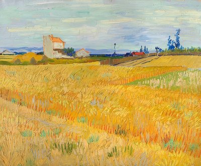 Weizenfeld (Champ de blé). 1888 od Vincent van Gogh