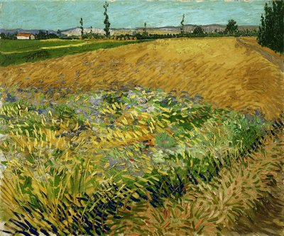 Pšeničné pole od Vincent van Gogh