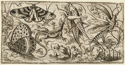 Skupina hmyzu a zvířat na rovině s trávou..., 1530 - 1562. od Virgil Solis