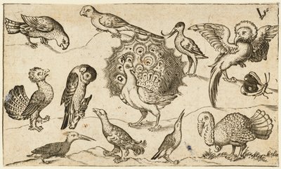 Páv uprostřed obklopený devíti dalšími ptáky, včetně krocana a motýla..., 1572. od Virgil Solis