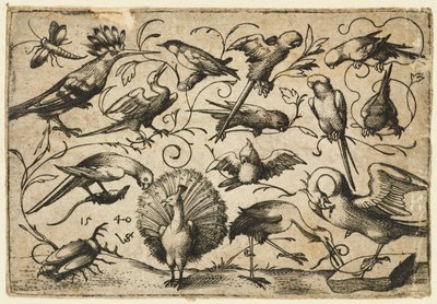 Deset ptáků na malých listových úponcích s čápem, který váže úponek kolem nohy pelikána..., 1540. od Virgil Solis