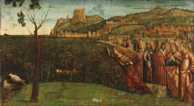 Carpaccio - Proměna Alkyony, asi 1502-1507 od Vittore Carpaccio