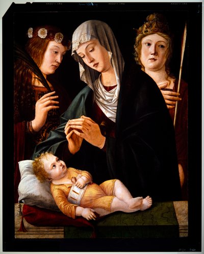 Madona s dítětem a dvěma světicemi, nedatováno (panel) od Vittore Carpaccio