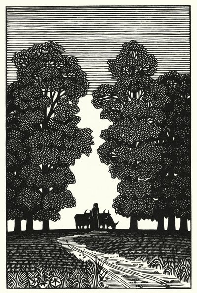 Ilustrace pro Tess Of The D