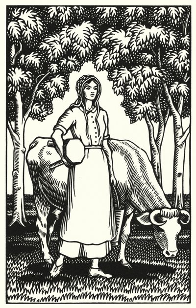 Ilustrace pro Tess Of The D