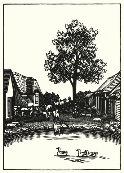 Ilustrace pro Tess Of The D