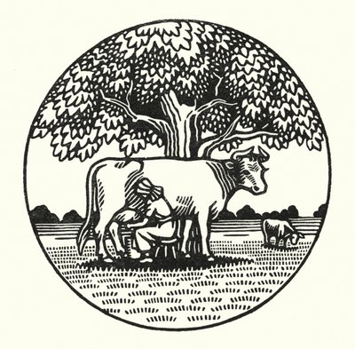 Ilustrace pro Tess Of The D