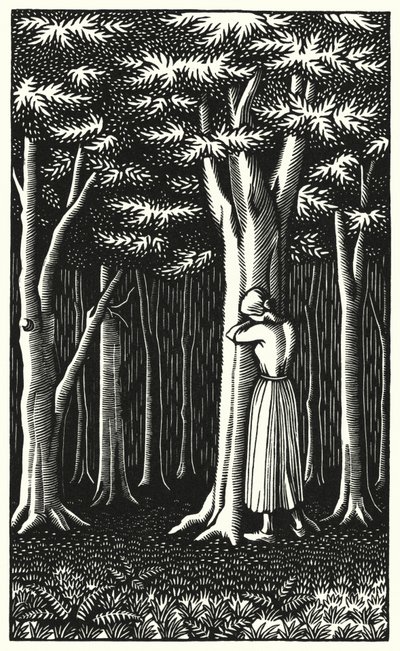 Ilustrace pro Tess Of The D