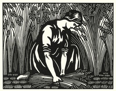 Ilustrace pro Tess Of The D