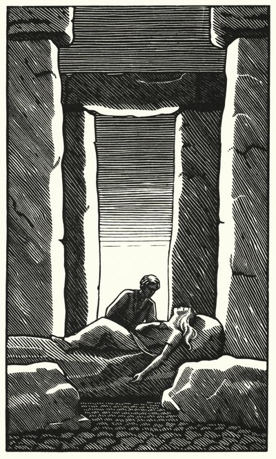 Ilustrace pro Tess Of The D