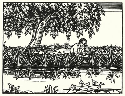 Ilustrace pro Tess Of The D