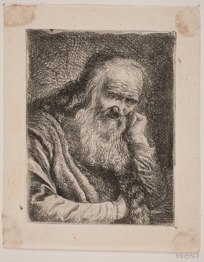 Vousatý Olding od W.A. Müller