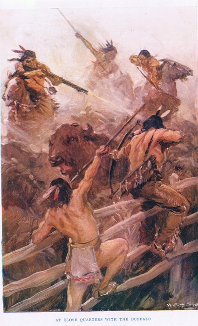 At Close Quarters with the Buffalo, ilustrace z 