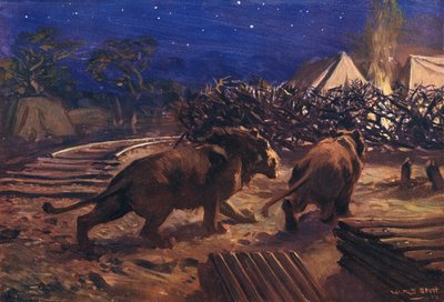 Nepřítel železničáře od W.R.S. Stott