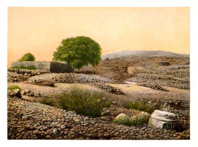 Shiloh, c1870. od W. Dickens
