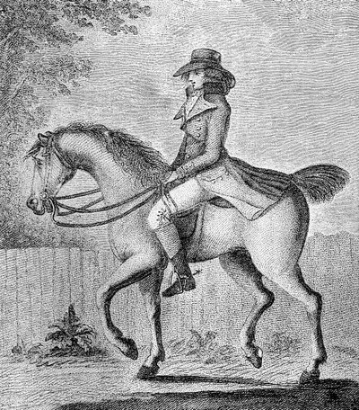 Mylná představa, 1789. od W. Dickinson