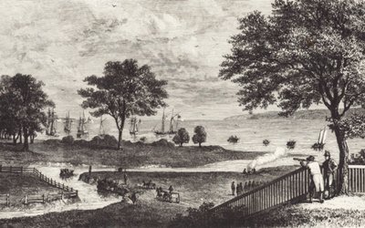 buvol (litho) od John Ward Dunsmore