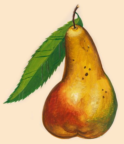 Hruška s listem, kresba od John Ward Dunsmore