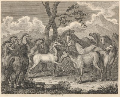 Rada koní od W. Grainger