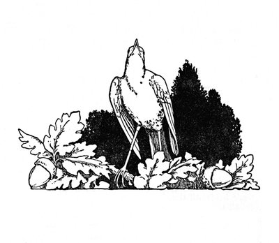 Mezi větvemi bydlel slavík, c1930 od William Heath Robinson