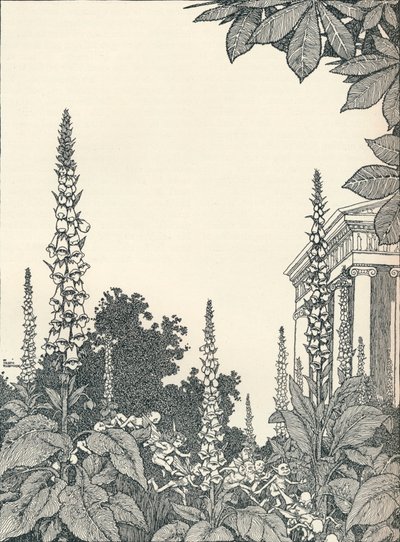 Ilustrace ke snu nocí svatojánských, 1914, 1925. od William Heath Robinson
