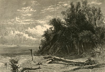 „Pobřeží u Lake Forest“, 1874. od W. J. Linton