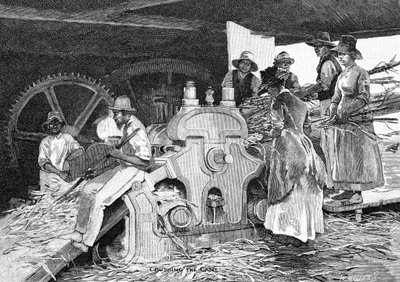 Drcení hole, 1886. od W. Mollier