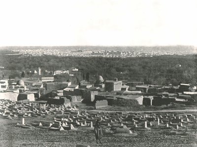 Panorama města ze Sulhieh, Damašek, Osmanská Sýrie, 1895. od W and S Ltd