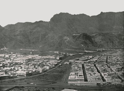 Celkový pohled ukazující Camel Market, Aden, 1895. od W and S Ltd