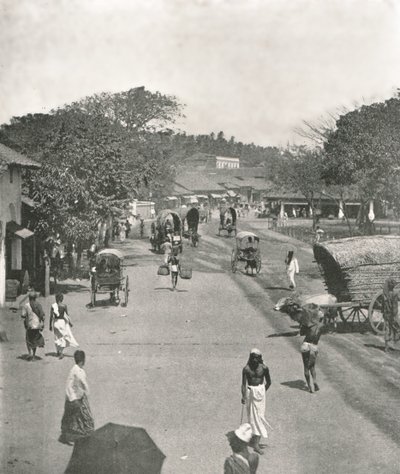 Pouliční scéna poblíž radnice, Colombo, Ceylon, 1895. od W and S Ltd