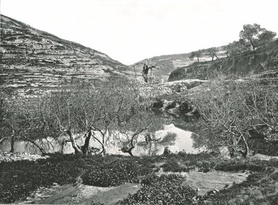 Pool of Siloam, Jeruzalém, Palestina, 1895. od W and S Ltd