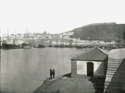 Město a přístav Malaga, Španělsko, 1895. od W and S Ltd