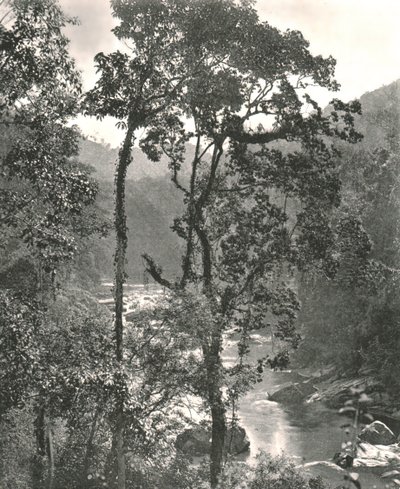 Pohled na řeku Kelani, Kurunegala, Ceylon, 1895. od W and S Ltd
