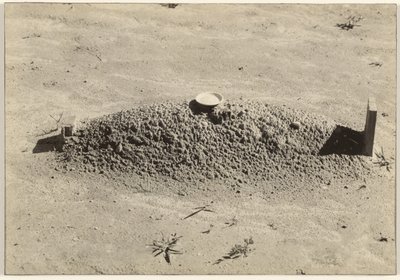 Baptistický hrob, Hale County, Alabama od Walker Evans