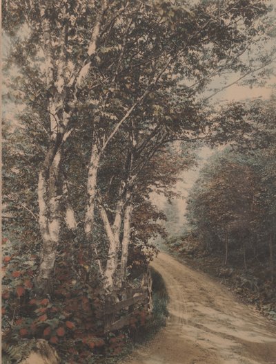 Westmore Drive od Wallace Nutting