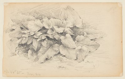 Studie závodu, West 86th Street od Walter Clark