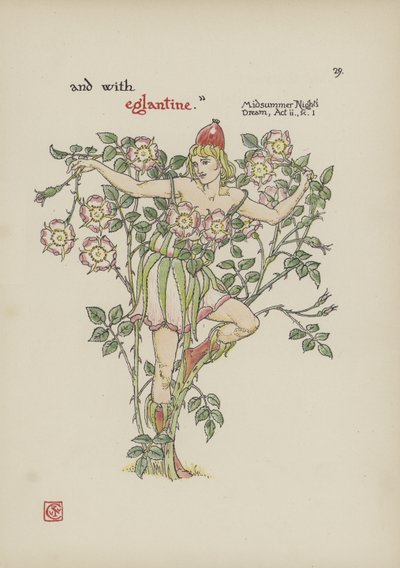 Květiny ze Shakespearovy zahrady od Walter Crane