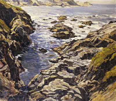 Skalnaté pobřeží od Walter Elmer Schofield
