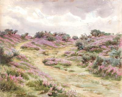 Zvonkový vřes na Setleyské pláni (akvarel) od Walter Frederick Roofe Tyndale