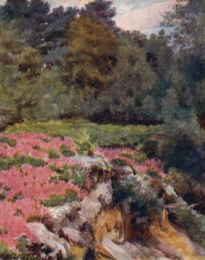 The New Forest: A Gravel Pit Head v Royden (barevné lito) od Walter Frederick Roofe Tyndale