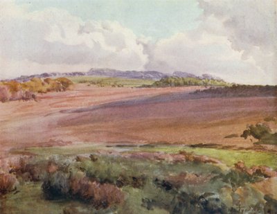 The New Forest: Across Malwood Walk from the Road to Fritham (barevné lito) od Walter Frederick Roofe Tyndale