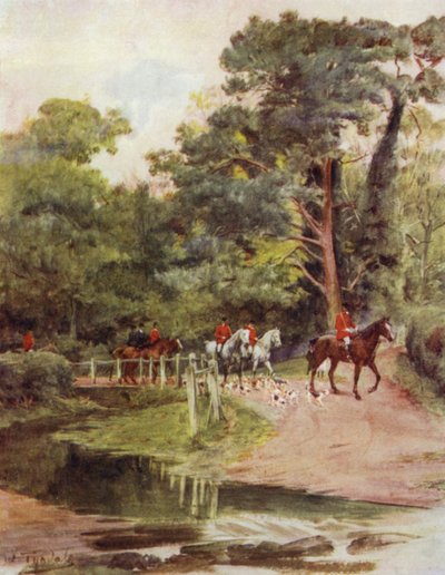 The New Forest: Minstead Brook (barevné lito) od Walter Frederick Roofe Tyndale