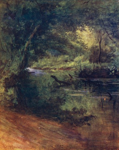 The New Forest: Northgate, poblíž Culverley, v Lodge Walk (barevně lito) od Walter Frederick Roofe Tyndale
