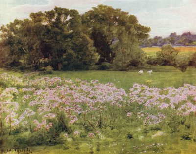 The New Forest: Riversdale, Boldre (barva lito) od Walter Frederick Roofe Tyndale